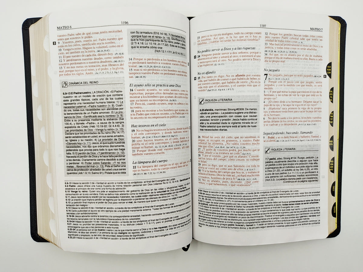 Biblia Plenitud – RVR1960