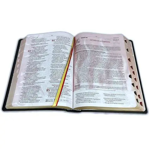 Biblia de Predicación de Avivamiento para Hombres – RVR1960 (Edición Ministerial)