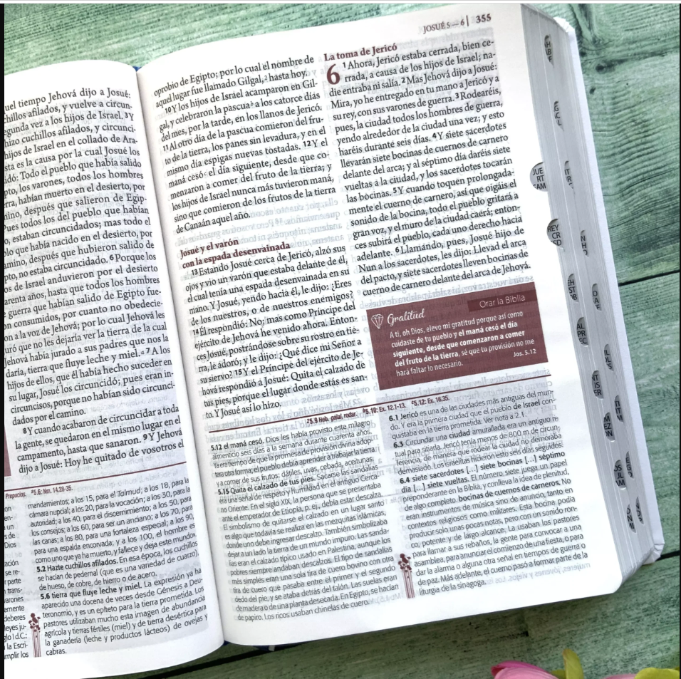 Biblia de Estudio “Ser Mujer” – RVR60 (Edición para mujeres de fe)