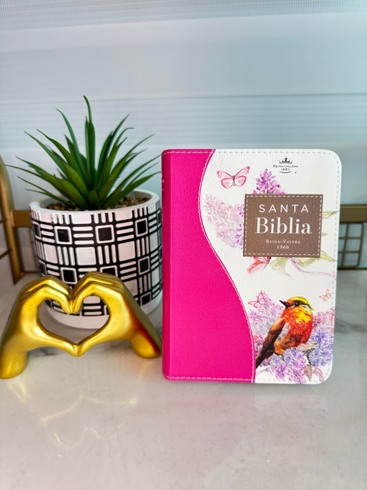 Biblia de Bolsillo RVR1960 – Compacta y Práctica para Llevar